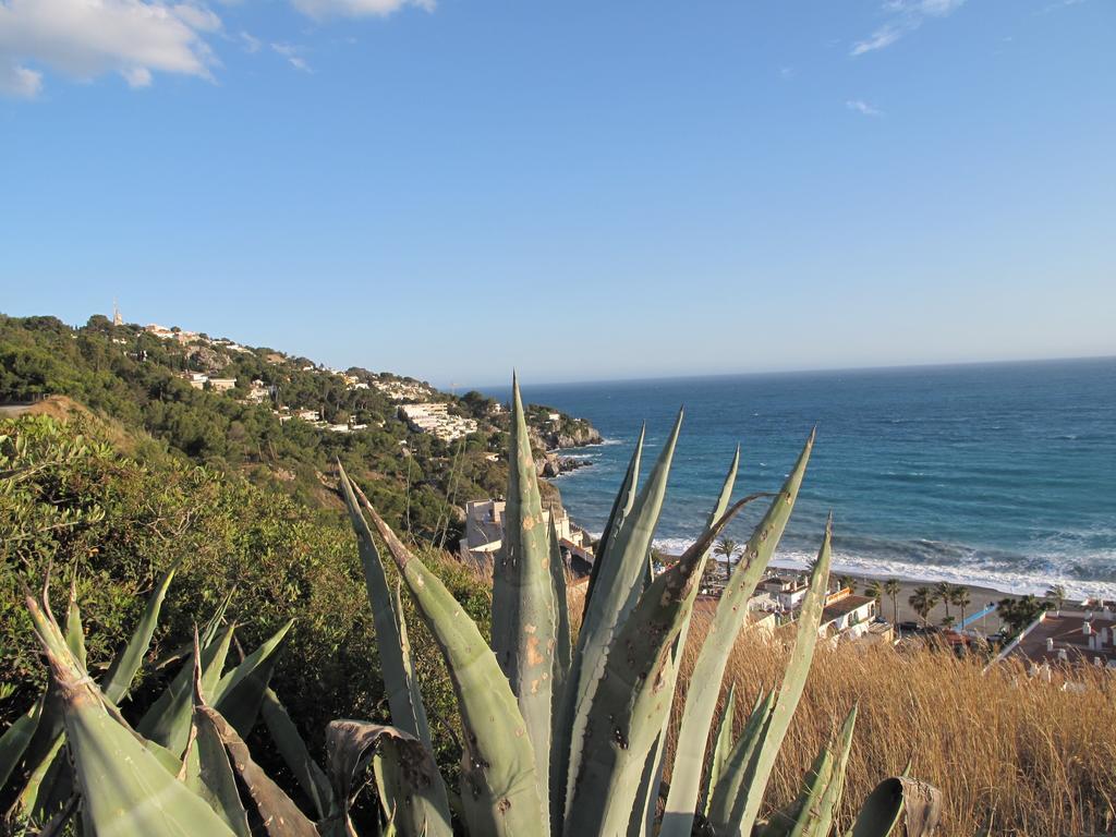 Pension La Herradura Экстерьер фото